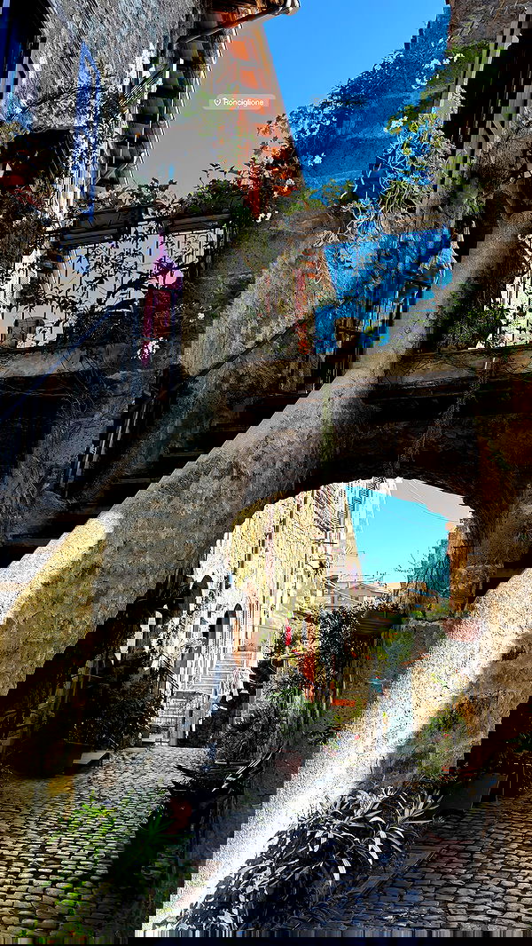 elsgatti image ~ Altpins