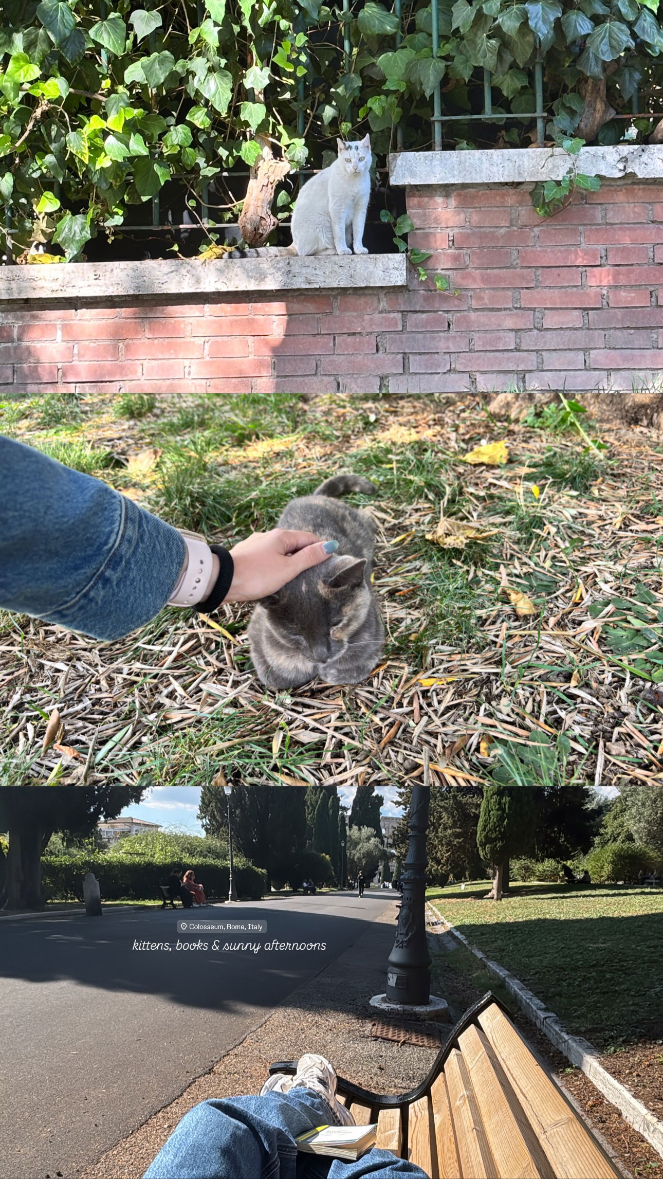 elsgatti instagram image archive image