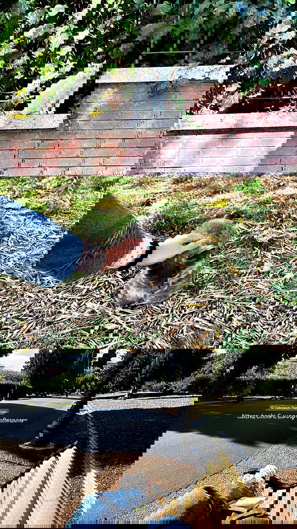 elsgatti image ~ Altpins