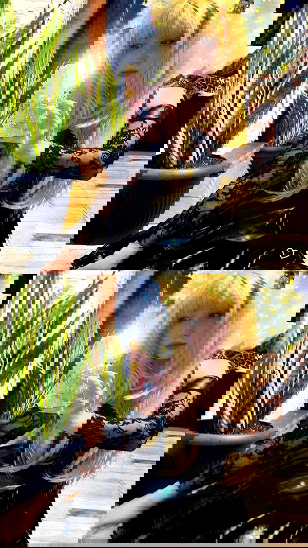 elsgatti image ~ Altpins