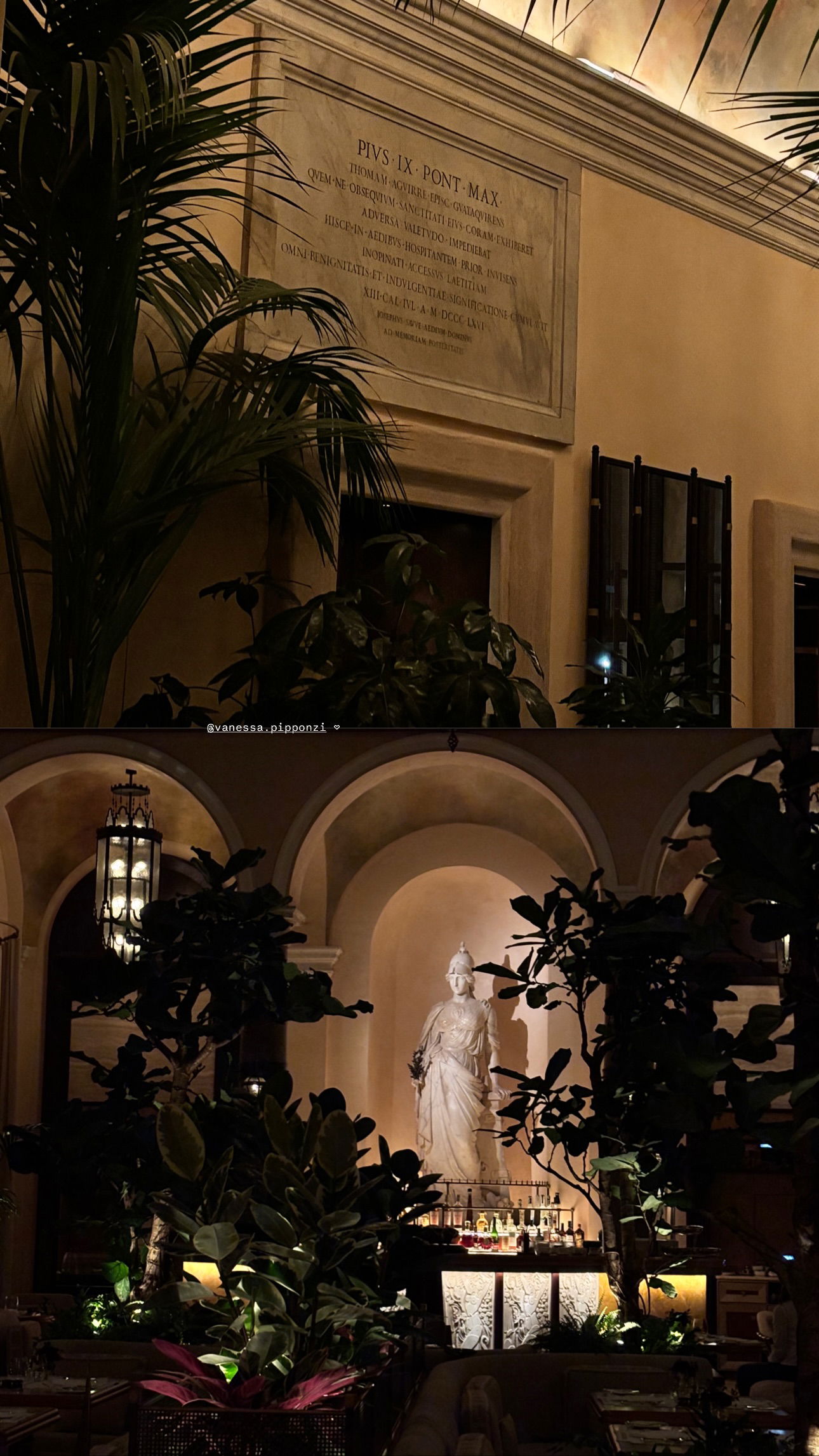 elsgatti instagram image archive image