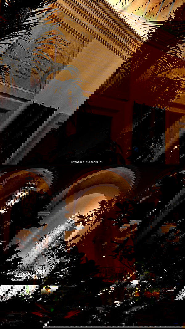 elsgatti image ~ Altpins