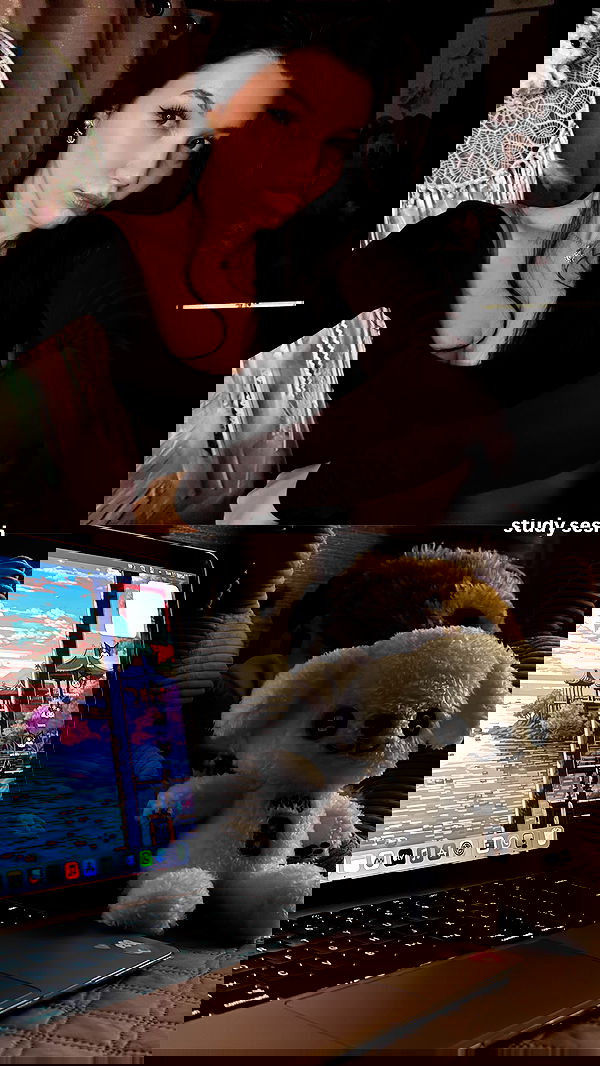 elsgatti image ~ Altpins