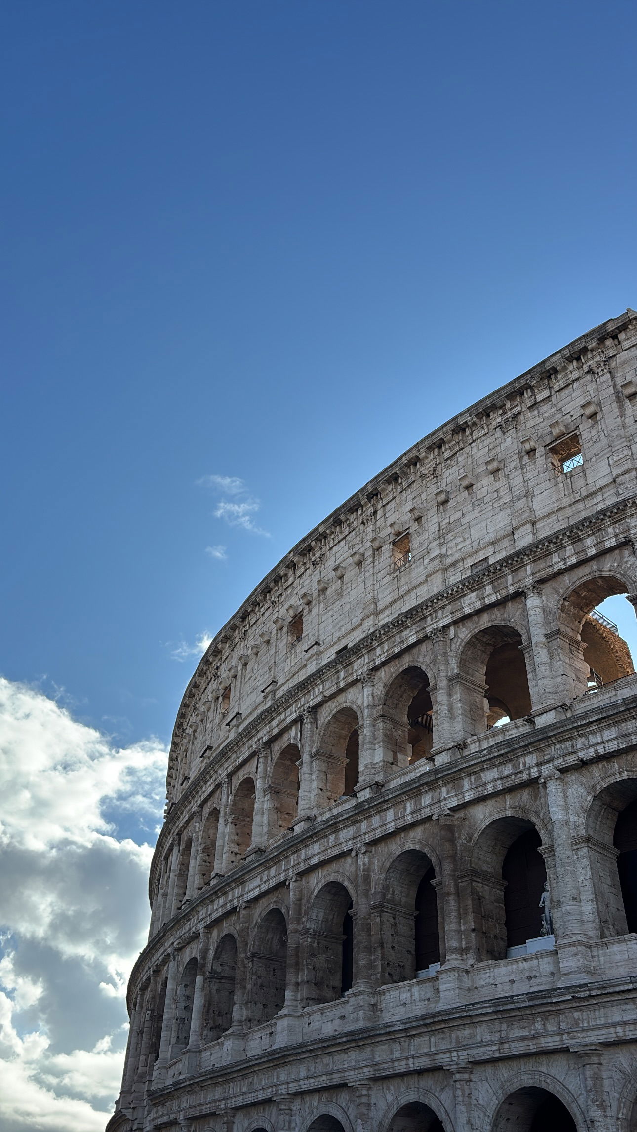 elsgatti instagram image archive image