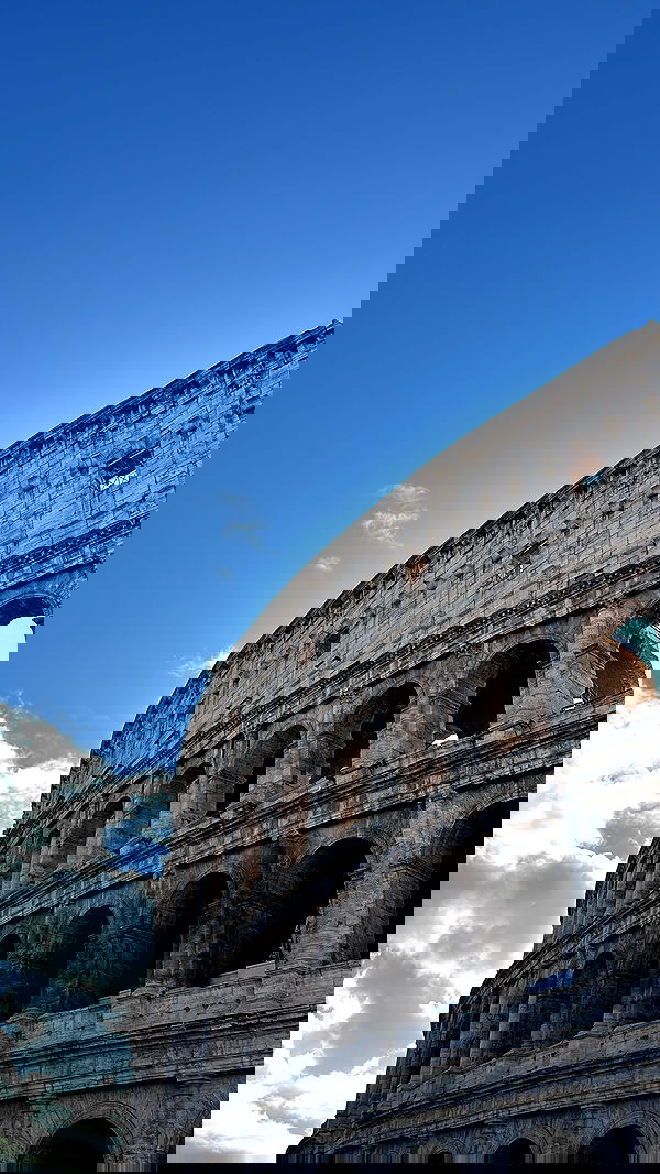 elsgatti image ~ Altpins