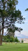 emelyeender Altpins Profile Picture