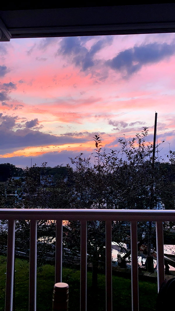 emelyeender instagram image archive image