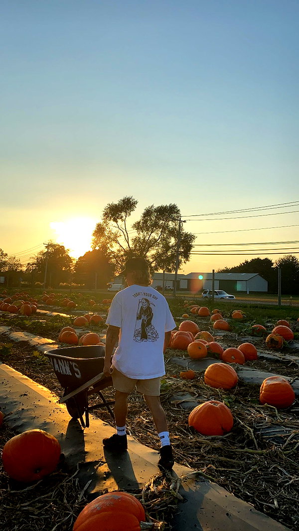 emelyeender instagram image archive image