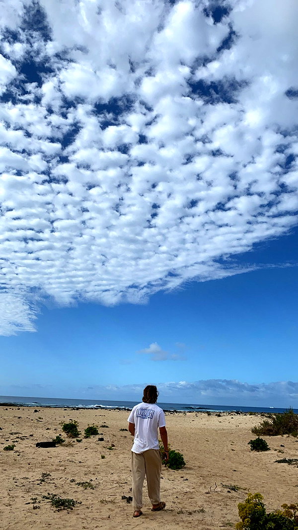 emelyeender instagram image archive image
