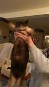 emelyeender Altpins Profile Picture