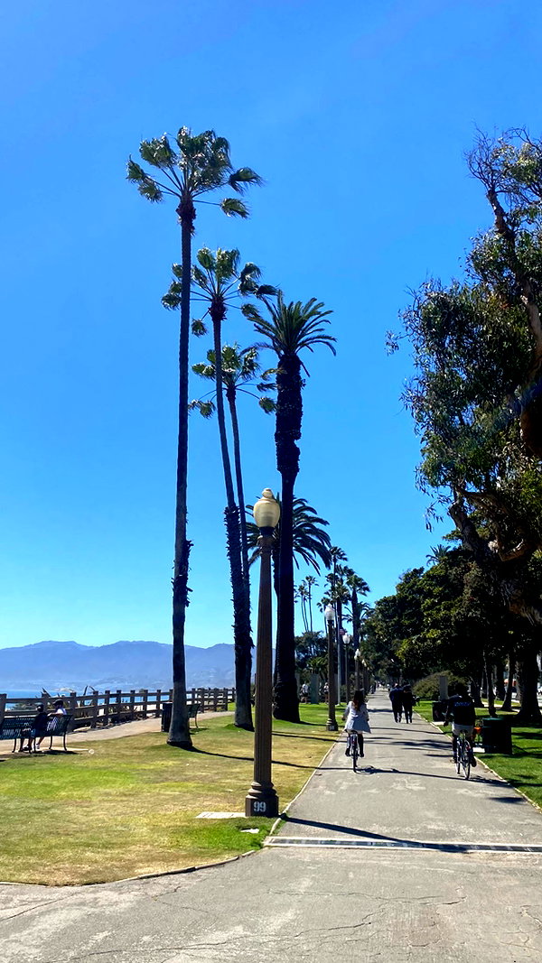 emelyeender instagram image archive image