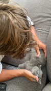 emelyeender Altpins Profile Picture
