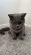 emelyeender Altpins Profile Picture