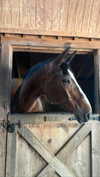 emelyeender Altpins Profile Picture