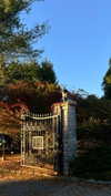 emelyeender Altpins Profile Picture