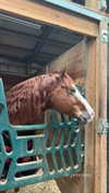 emelyeender Altpins Profile Picture