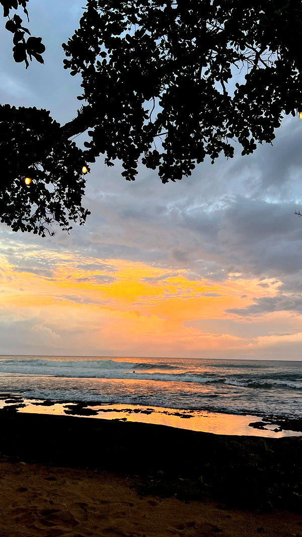 emelyeender instagram image archive image