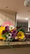 emelyeender Altpins Profile Picture