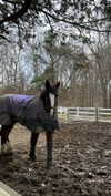 emelyeender Altpins Profile Picture