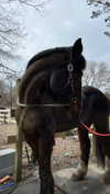 emelyeender Altpins Profile Picture