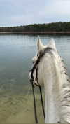 emelyeender Altpins Profile Picture