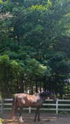 emelyeender Altpins Profile Picture