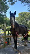 emelyeender Altpins Profile Picture