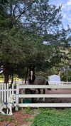 emelyeender Altpins Profile Picture