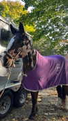 emelyeender Altpins Profile Picture