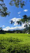 emelyeender Altpins Profile Picture