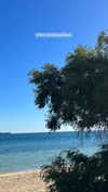 emelyeender Altpins Profile Picture