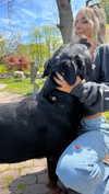 emelyeender Altpins Profile Picture