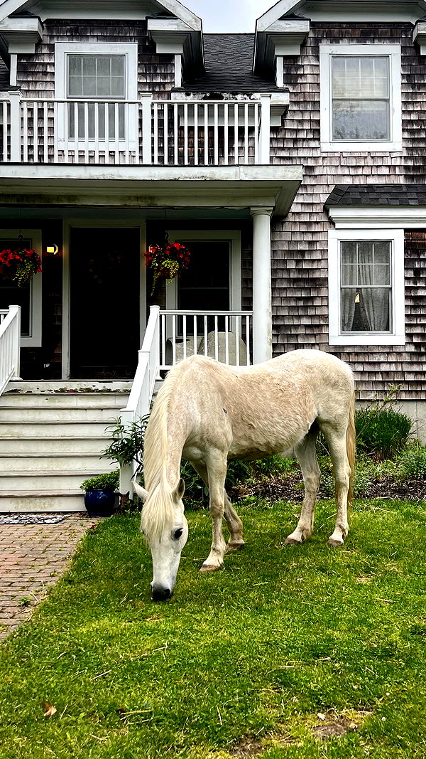 emelyeender instagram image archive image