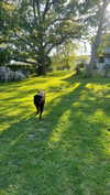 emelyeender Altpins Profile Picture