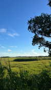 emelyeender Altpins Profile Picture