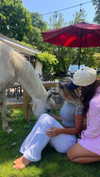 emelyeender Altpins Profile Picture