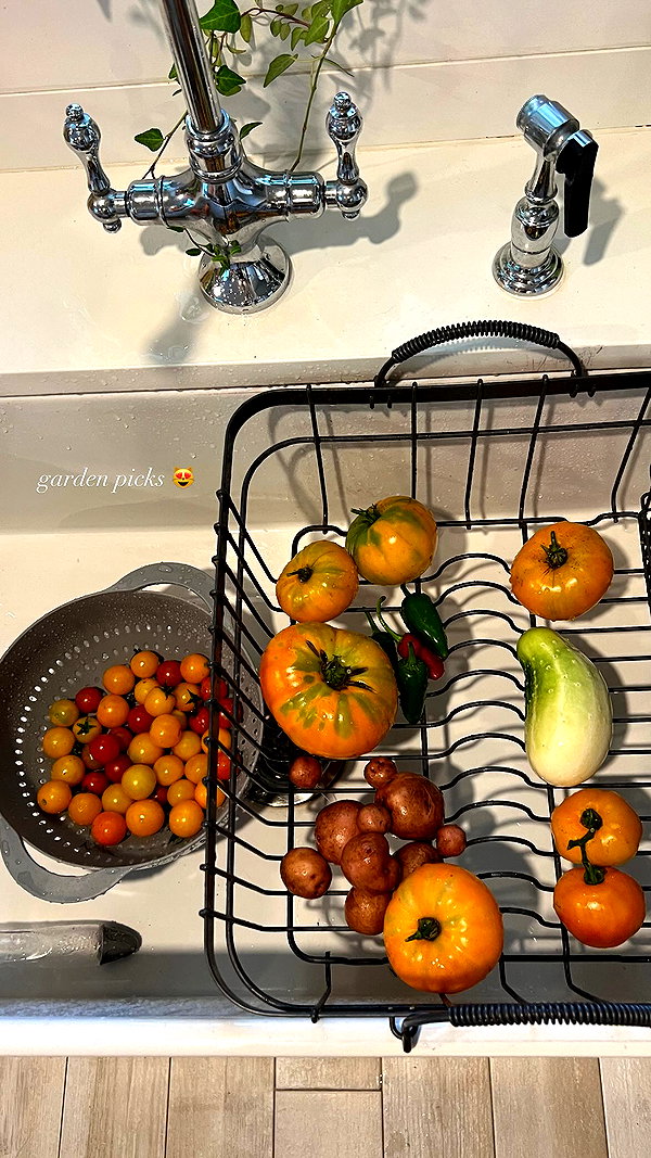 emelyeender instagram image archive image