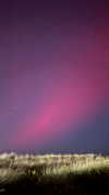 emelyeender Altpins Profile Picture
