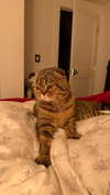 emelyeender Altpins Profile Picture