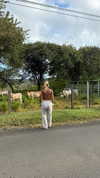 emelyeender Altpins Profile Picture