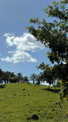 emelyeender Altpins Profile Picture