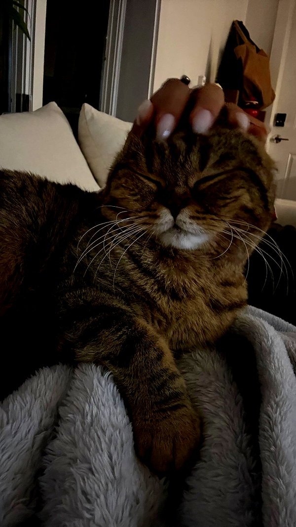 emelyeender instagram image archive image