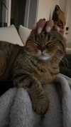 emelyeender Altpins Profile Picture