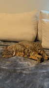 emelyeender Altpins Profile Picture