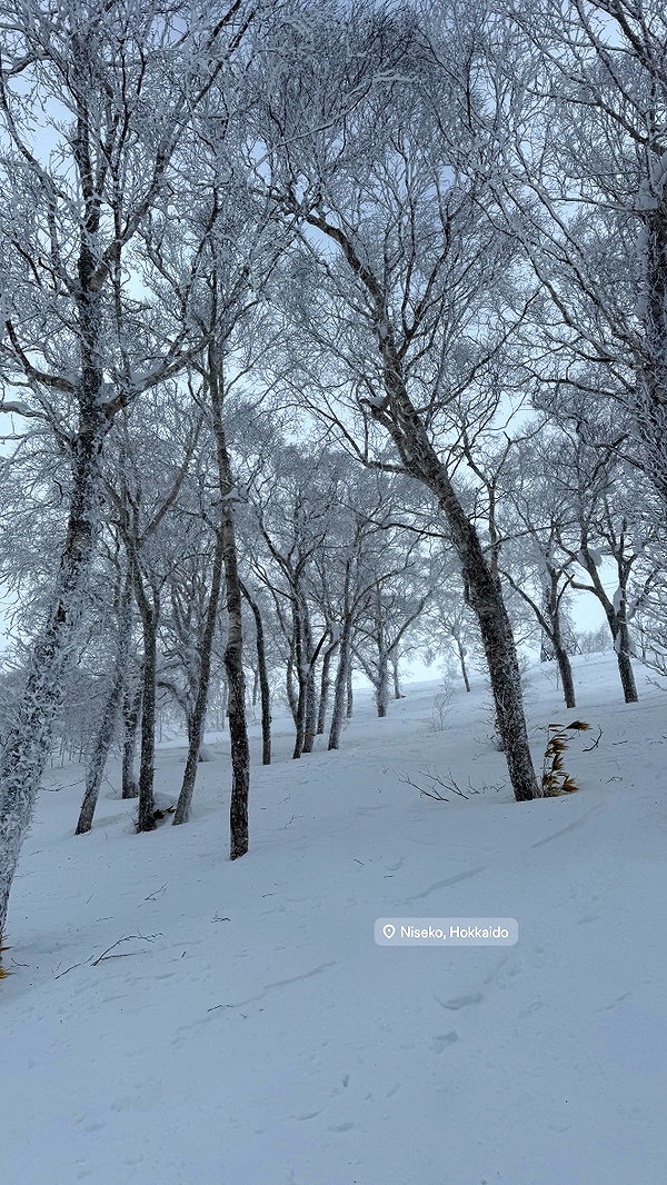 emelyeender instagram image archive image