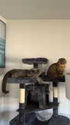 emelyeender Altpins Profile Picture