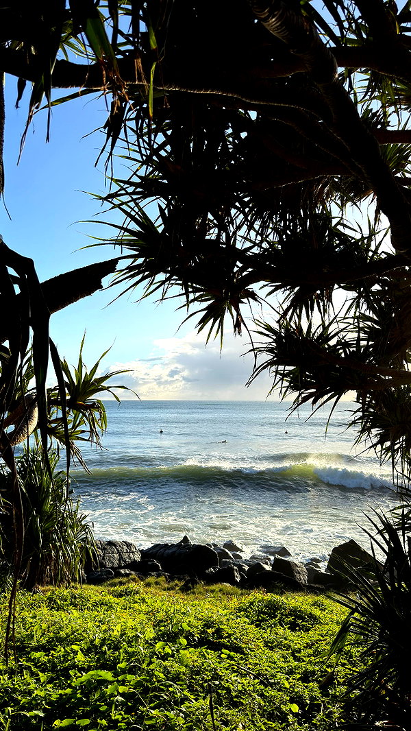 emelyeender instagram image archive image