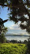 emelyeender Altpins Profile Picture