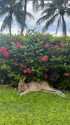 emelyeender Altpins Profile Picture