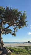 emelyeender Altpins Profile Picture